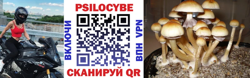 Галлюциногенные грибы GOLDEN TEACHER  Арсеньев 